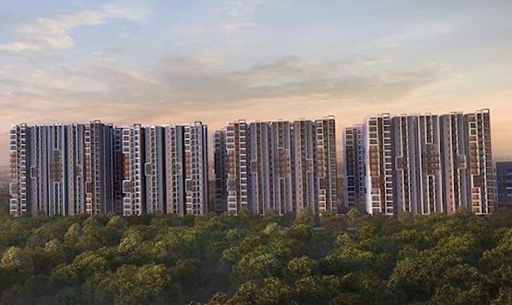 3L's of life in A2Ahomeland