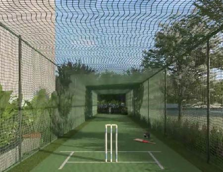 Cricket Net